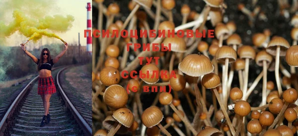 mdpv Волоколамск